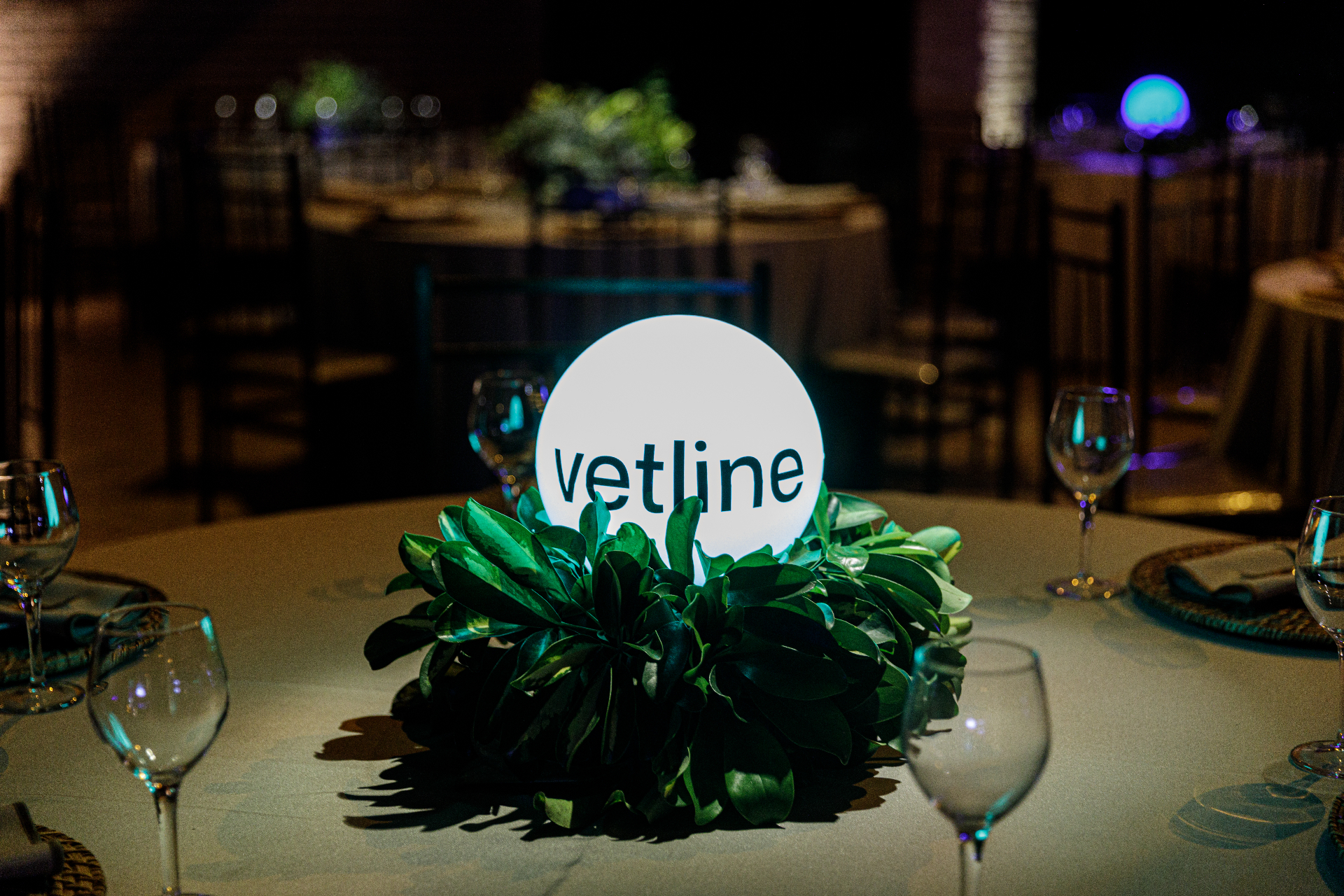 Mesa posta com centro iluminado e identidade da marca Vetline